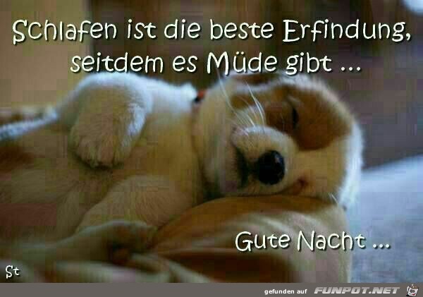 Schlafen Schlafen