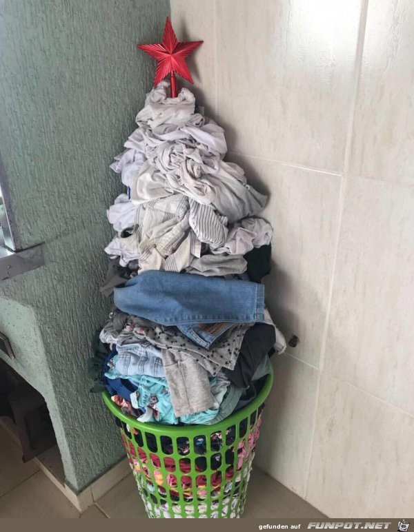 Mein Weihnachtsbaum steht schon lange Mein Weihnachtsbaum steht schon lange