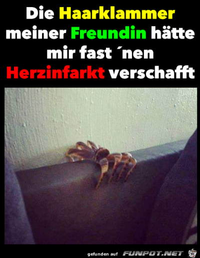 Haarklammer Haarklammer
