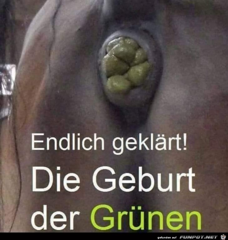 Geburt Geburt