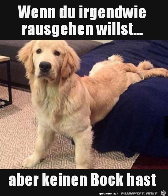 Unentschlossen Unentschlossen