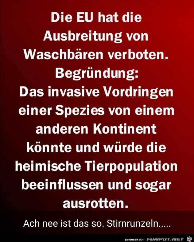 Die Ausbreitung