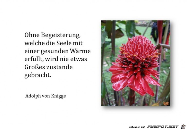 ohne Begeisterung ohne Begeisterung