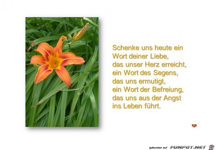 schenke uns heute ein Wort schenke uns heute ein Wort