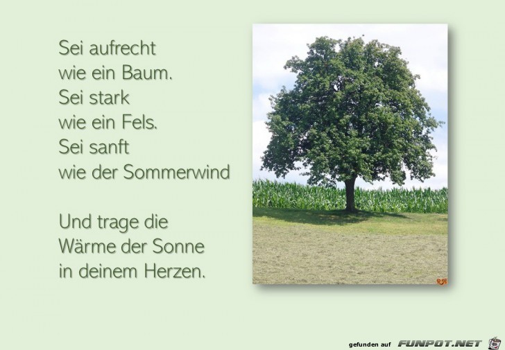 sei aufrecht wie ein Baum