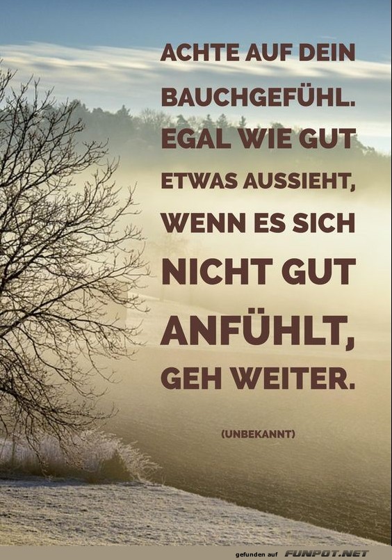 Achte auf dein Bauchgefuehl Achte auf dein Bauchgefuehl