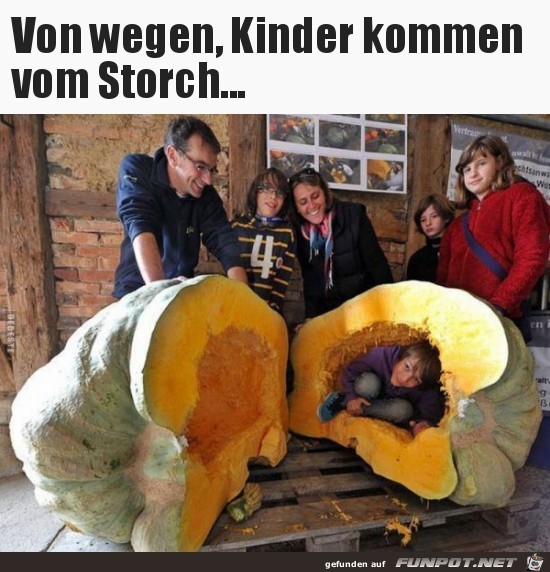 von wegen, Kinder kommen vom Storch......