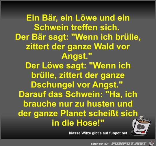 Ein Bär, ein Löwe und ein Schwein treffen sich Ein Bär, ein Löwe und ein Schwein treffen sich
