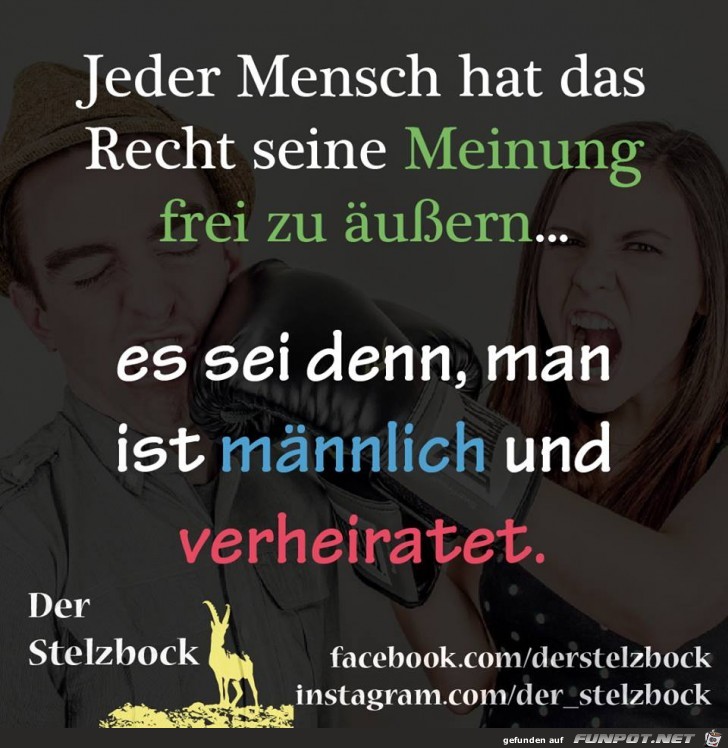 Freie Meinung Freie Meinung