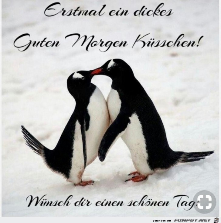 Schönen Tag Schönen Tag