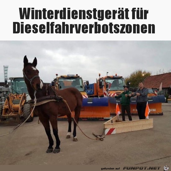 Winterdienst-Gert