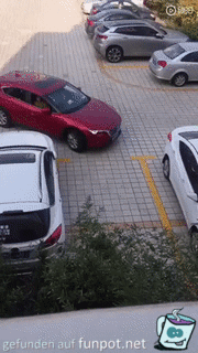 Wenn Frauen versuchen ein zu parken