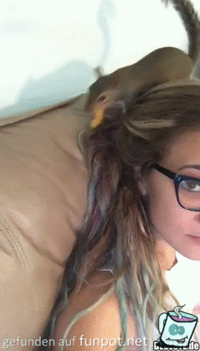 Das versteck ich hier Das versteck ich hier