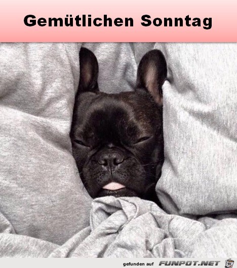 Sonntag Sonntag