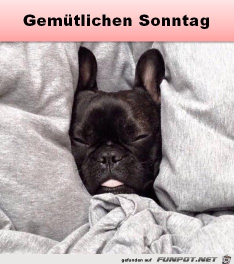 Sonntag