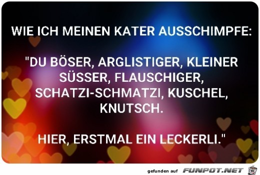 Wie ich meinen Kater... Wie ich meinen Kater...