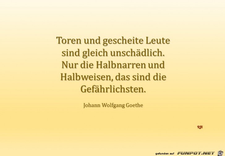 Toren und gescheite Leute Toren und gescheite Leute