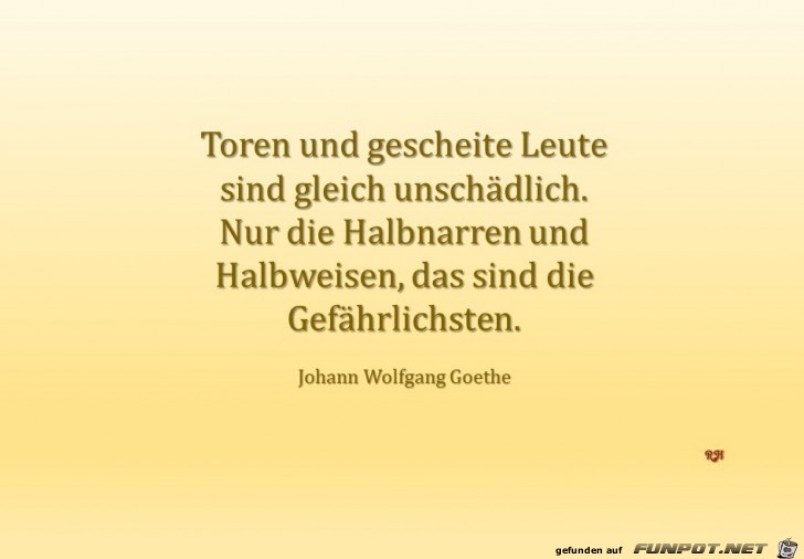 Toren und gescheite Leute