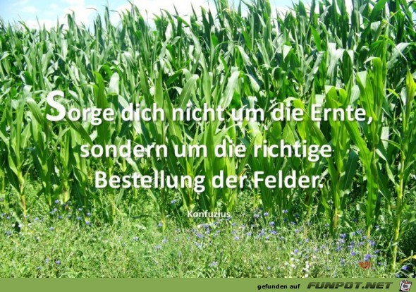 sorge dich nicht um die Ernte sorge dich nicht um die Ernte
