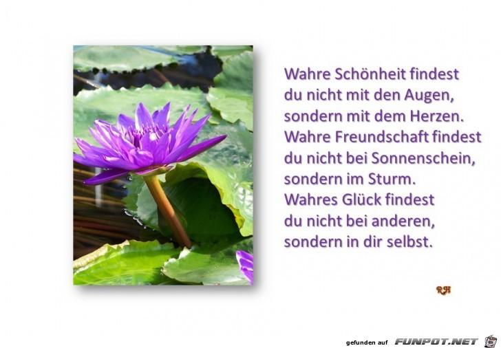 wahre schoenheit findest du wahre schoenheit findest du