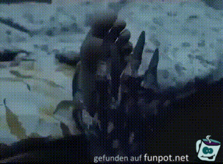 Das Monster unter dem Bett Das Monster unter dem Bett