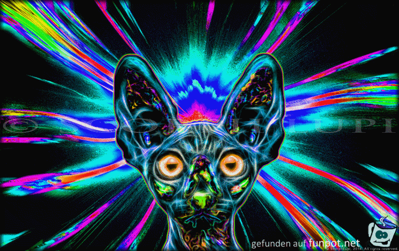 Neon 4 Neon 4
