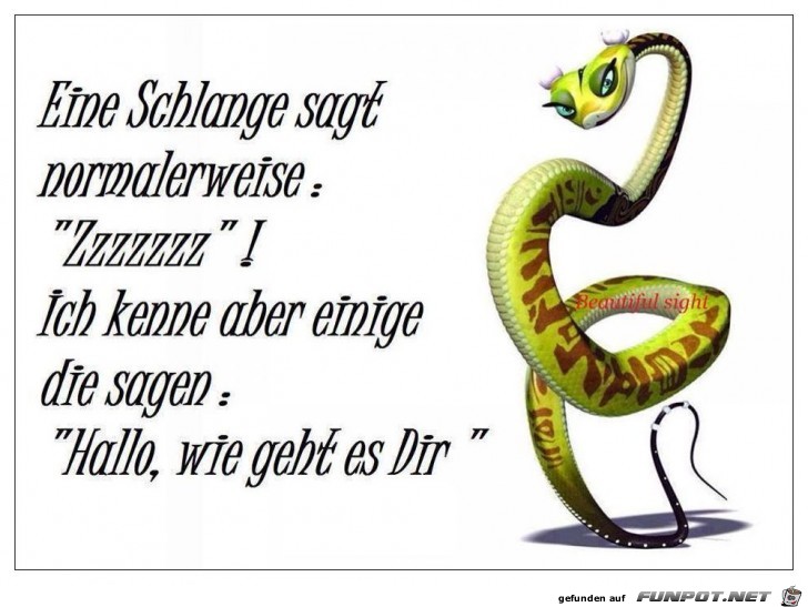 lustiger Spruch 'Schlange'