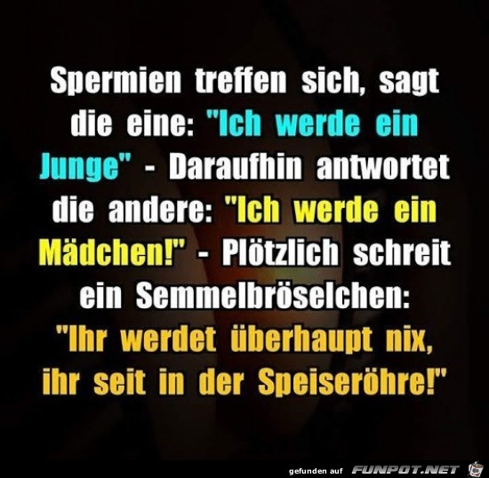 Spermien treffen sich....... Spermien treffen sich.......