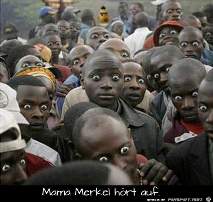 Merkel Merkel