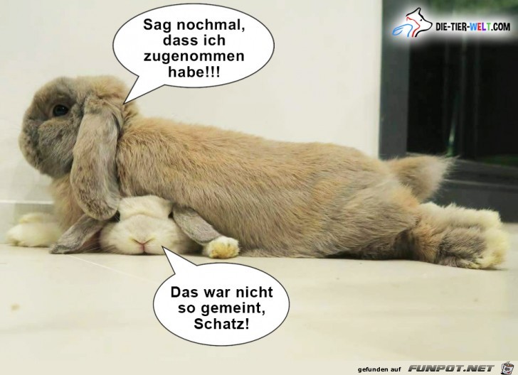 Sag nocheinmal Sag nocheinmal