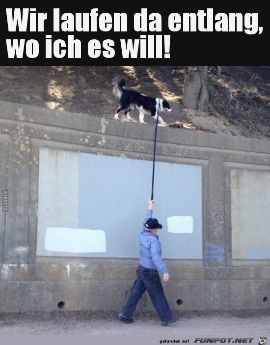 Ich will dort oben laufen Ich will dort oben laufen