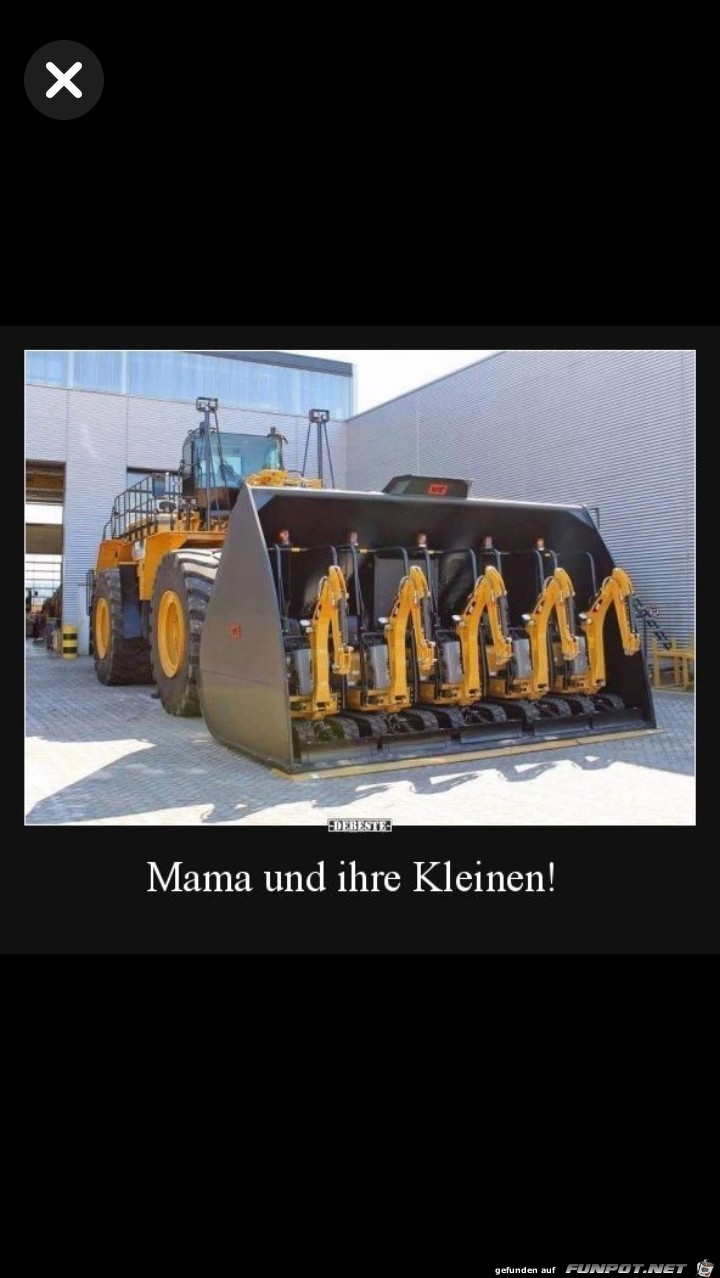 Mama und ihre Kleinen