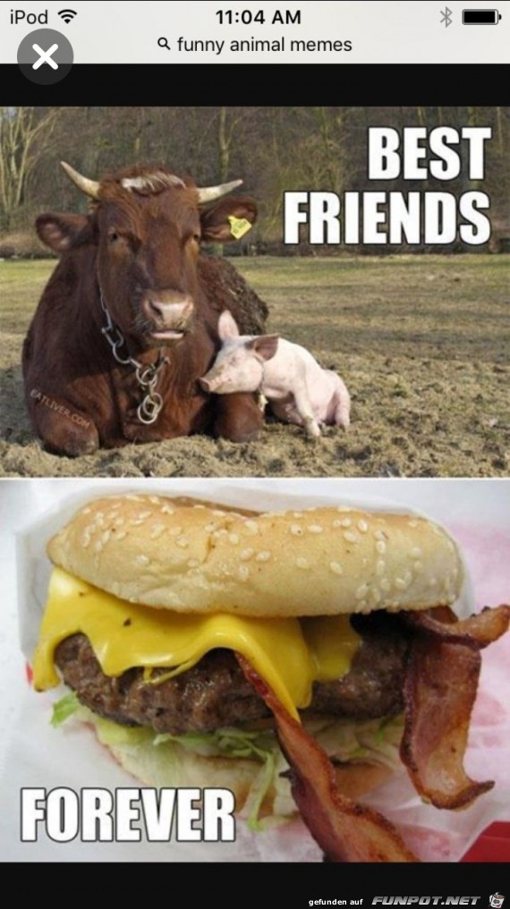 Best friends Best friends