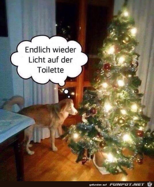 Licht Licht