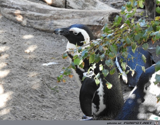 Impressionen aus dem Zoo Leipzig Teil 1