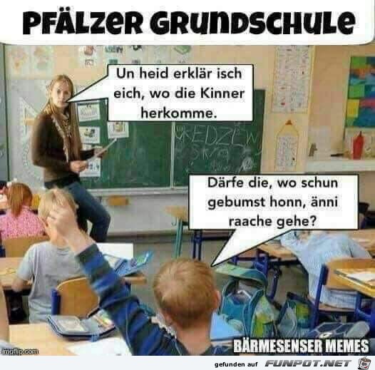 Schule Schule