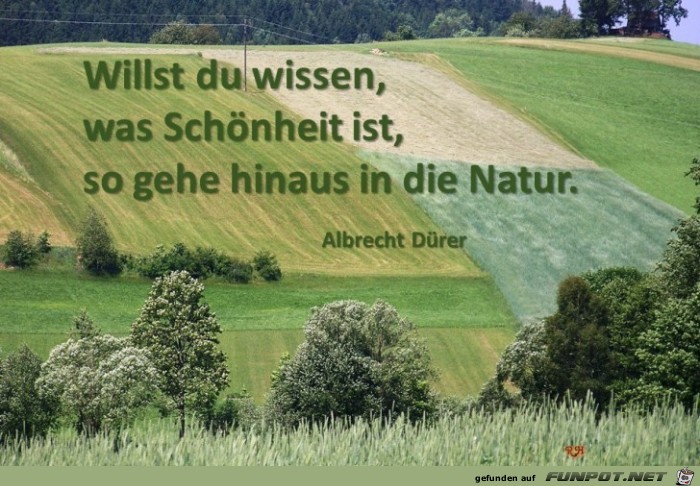 willst du wissen was schoenheit ist