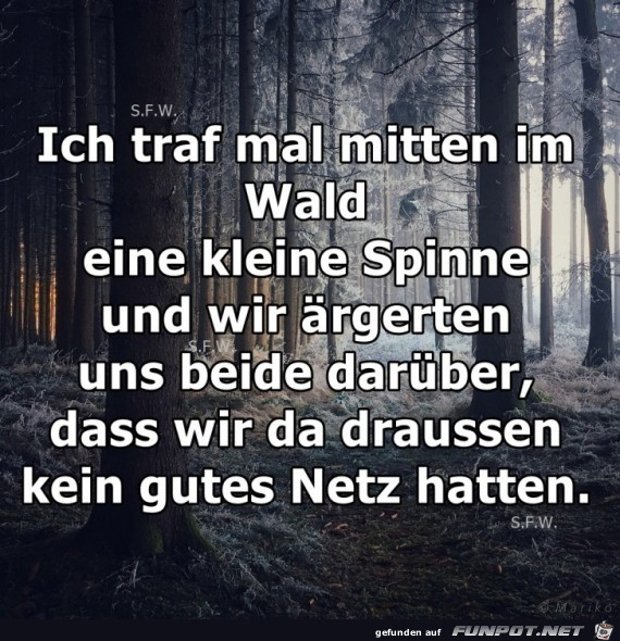 Ich traf mal mitten im Wald