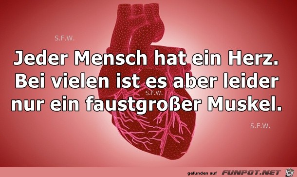 Jeder Mensch hat ein Herz Jeder Mensch hat ein Herz