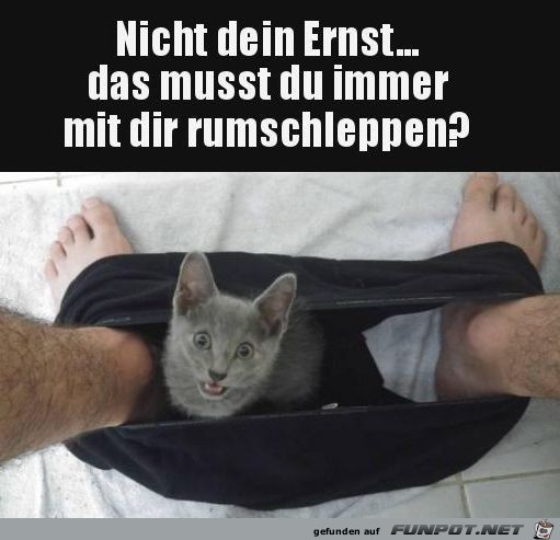 Nicht dein Ernst Nicht dein Ernst