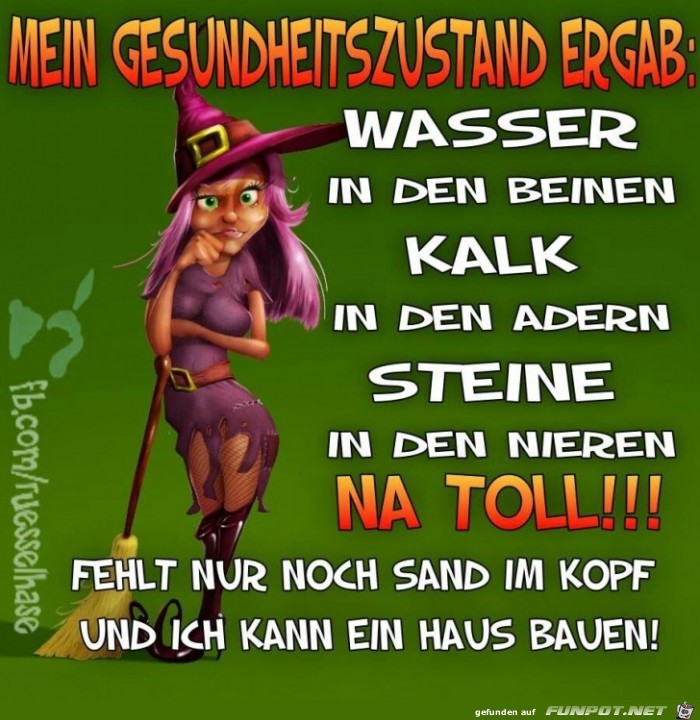 Gesundheitszustand Gesundheitszustand