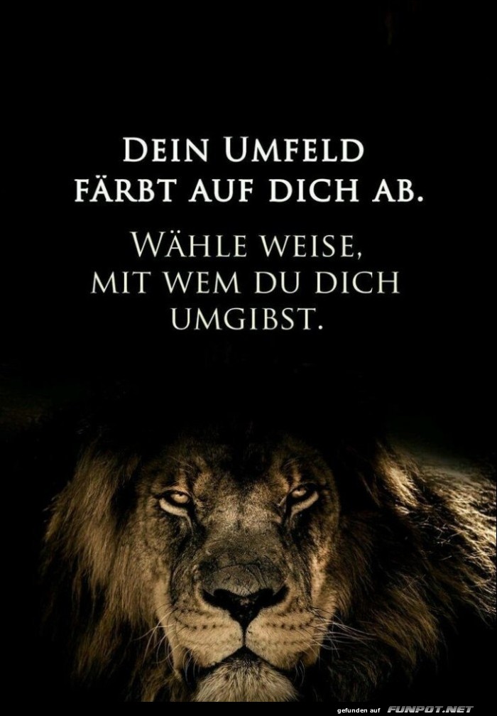 10 schne Sprche und Lebensweisheiten aus...