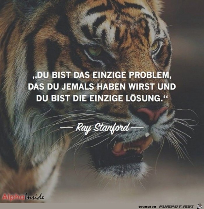 du bist das einzige Problem