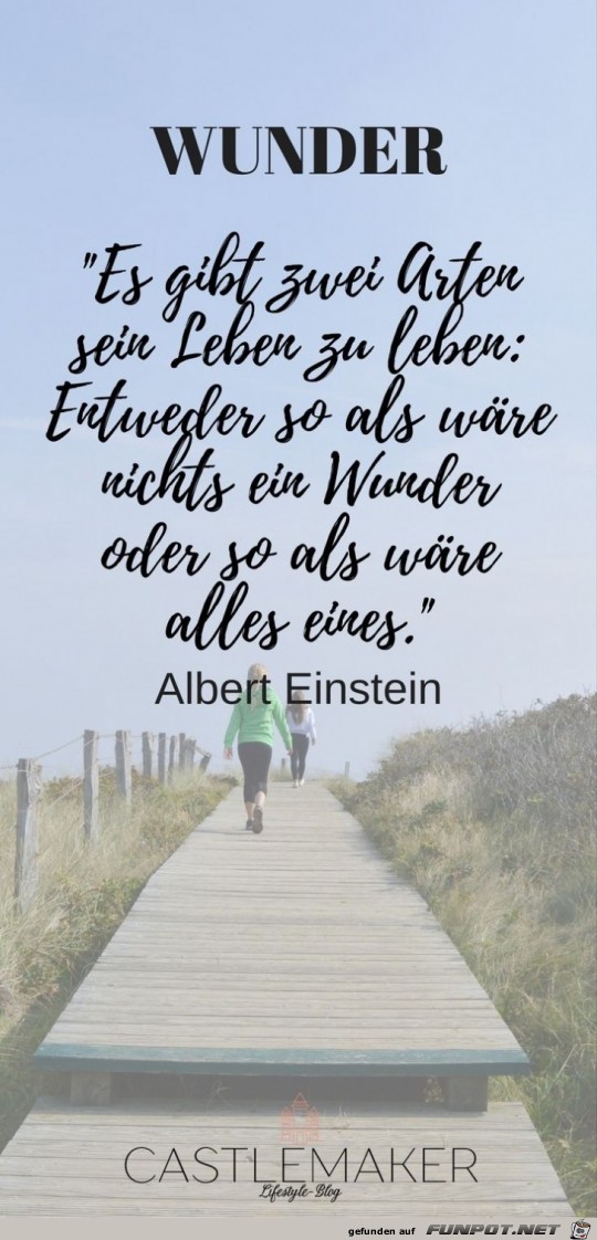 es gibt zwei Arten es gibt zwei Arten