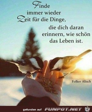 finde immer wieder Zeit finde immer wieder Zeit