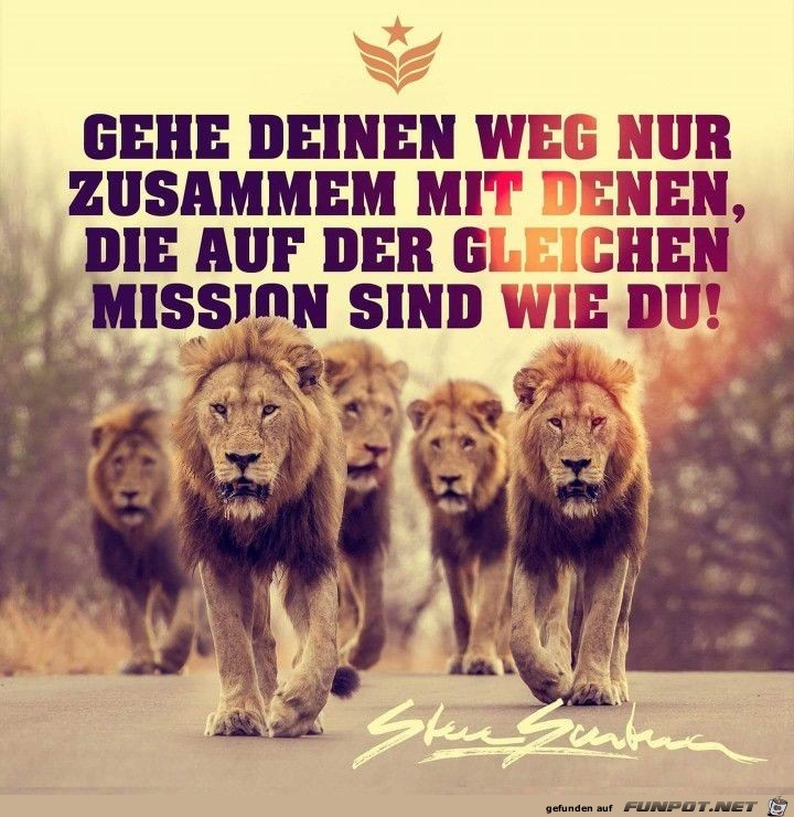 gehe deinen weg gehe deinen weg