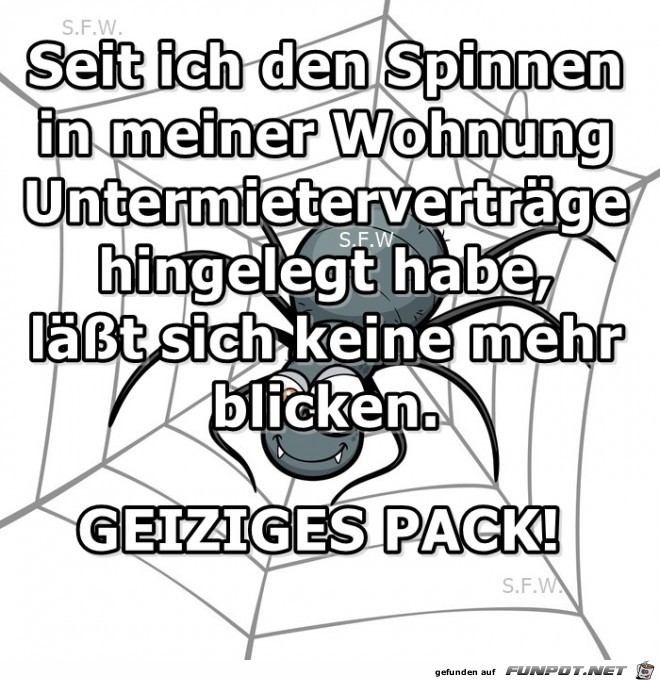 Seit ich den Spinnen