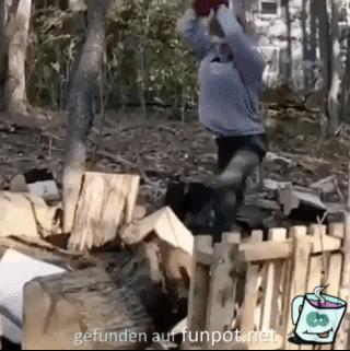 Glück gehabt 5 Glück gehabt 5