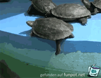 Weg da Weg da