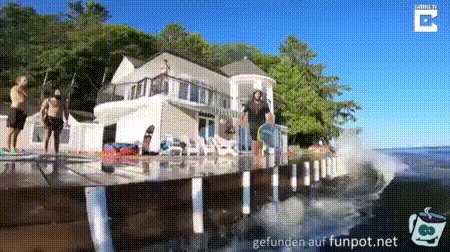 Wellenreiter Wellenreiter